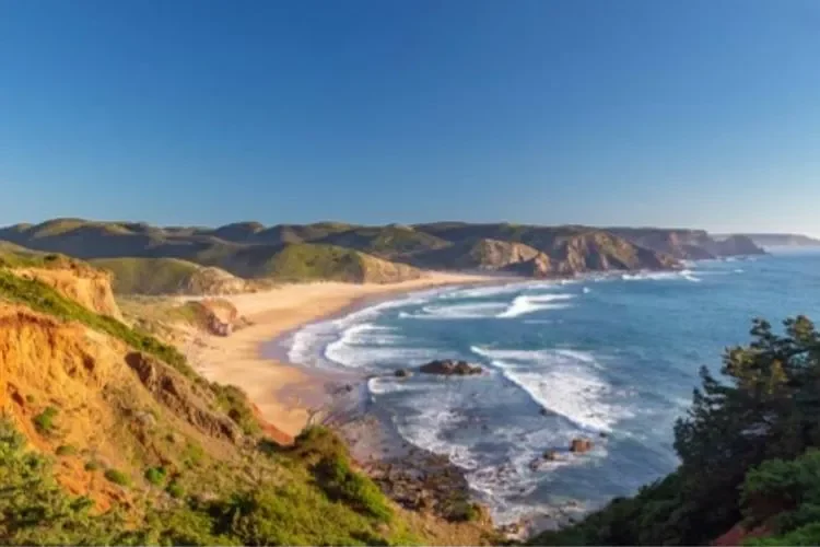 Praia do Amado